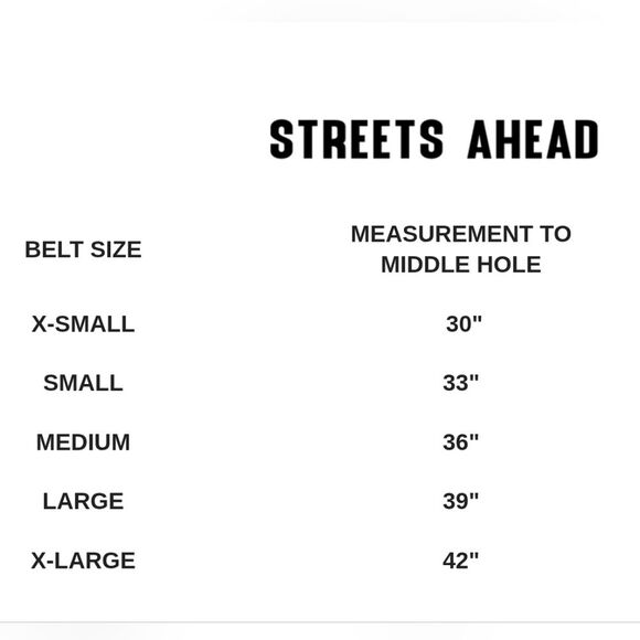 Streets Ahead Metallic Leather Belt with Ornate Buckle / Rhinestones, Medium - Picture 11 of 12